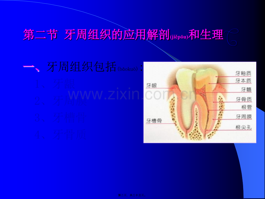 第三章-牙体牙周组织常见病.ppt_第2页