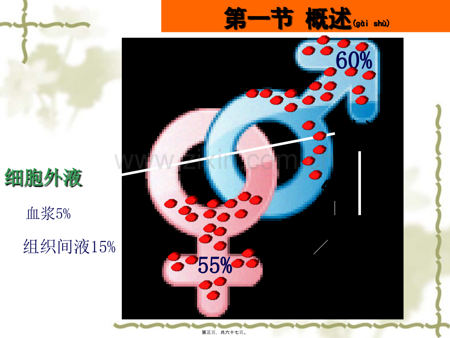 第三章-外科病人的体液和酸碱平衡失调(第八版).ppt_第3页