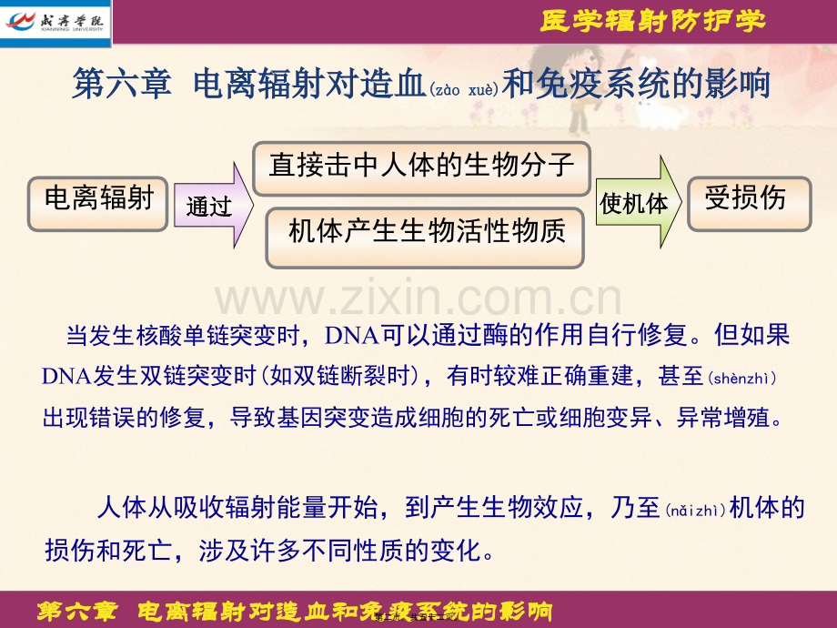 学术讨论—第六章-电离辐射对造血和免疫系统的影响.ppt_第2页