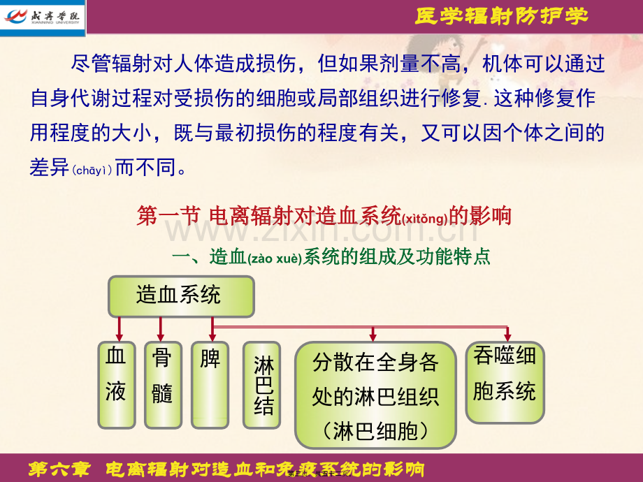 学术讨论—第六章-电离辐射对造血和免疫系统的影响.ppt_第3页