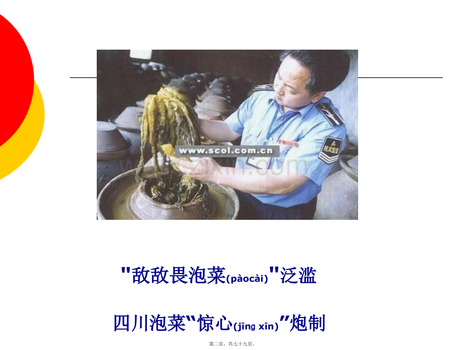 第五章--食品中农药残留.ppt_第2页