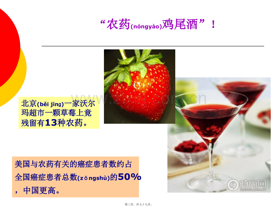 第五章--食品中农药残留.ppt_第3页