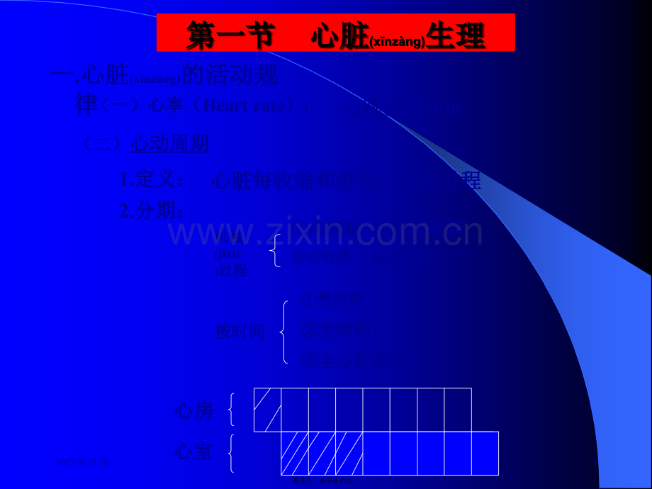 第三讲---血液循环应用.ppt_第3页