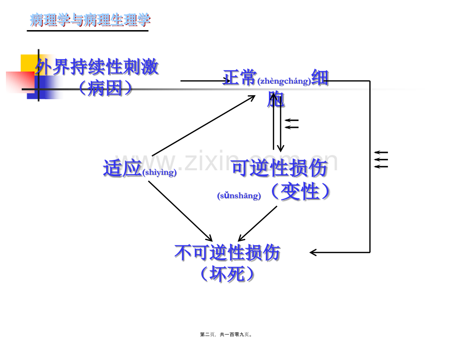 第二章细胞组织的适应第一节.ppt_第2页