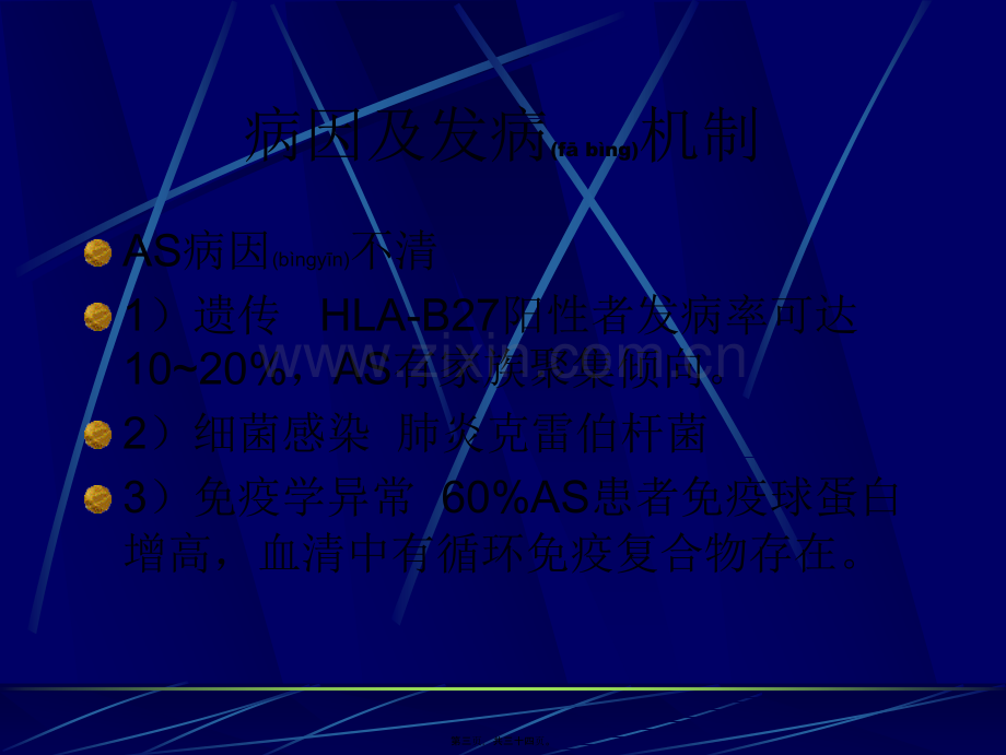 第六节强直性脊柱炎讲述.ppt_第3页