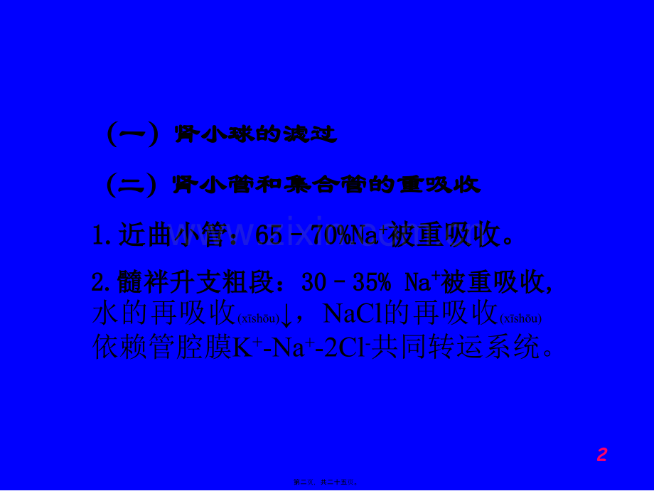 学术讨论—第二十二章---利尿药及脱水药.ppt_第2页