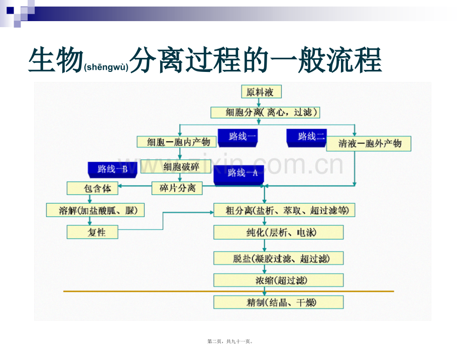 第三章细胞破碎.ppt_第2页