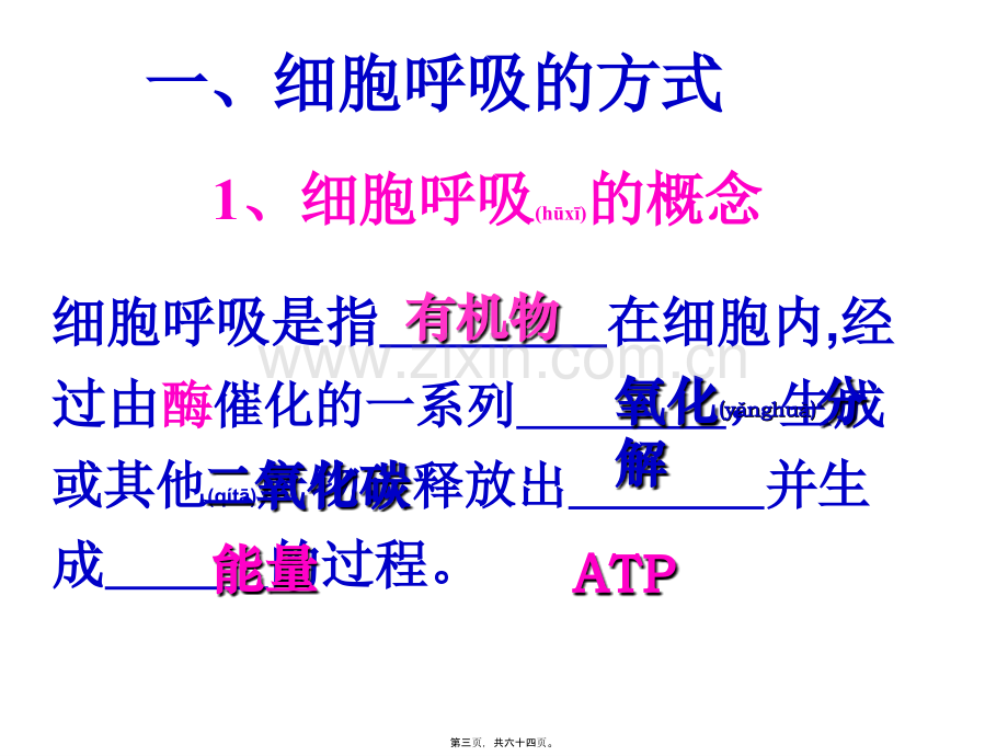 学术讨论—第五章第3节细胞呼吸公开课ppt.ppt_第3页