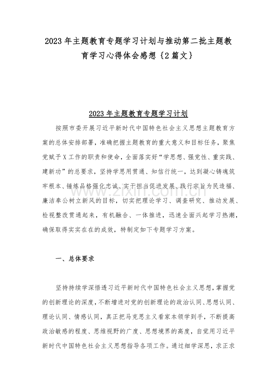 2023年主题教育专题学习计划与推动第二批主题教育学习心得体会感想.docx_第1页