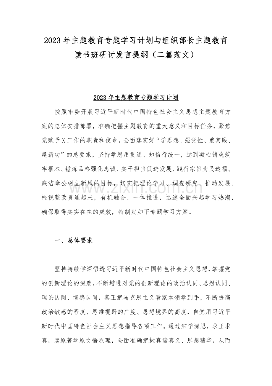 2023年主题教育专题学习计划与组织部长主题教育读书班研讨发言提纲（二篇范文）.docx_第1页