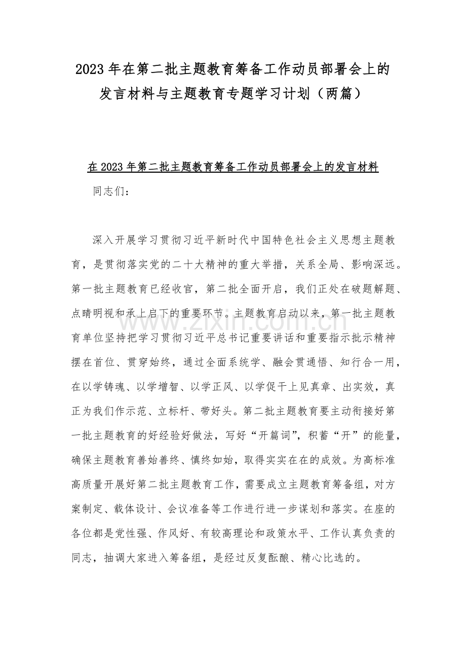 2023年在第二批主题教育筹备工作动员部署会上的发言材料与主题教育专题学习计划（两篇）.docx_第1页