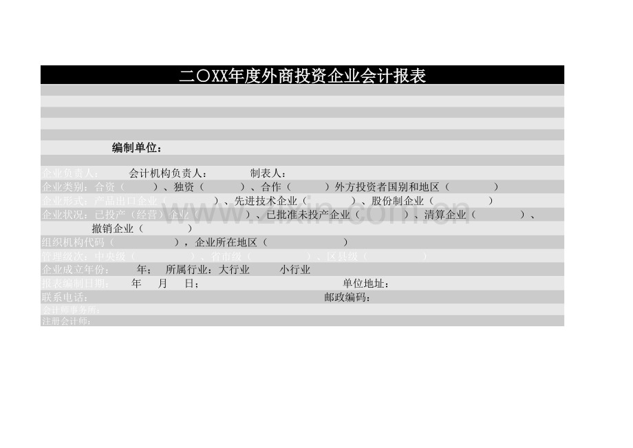 20XX年度外商投资企业会计报表模板.xls_第1页