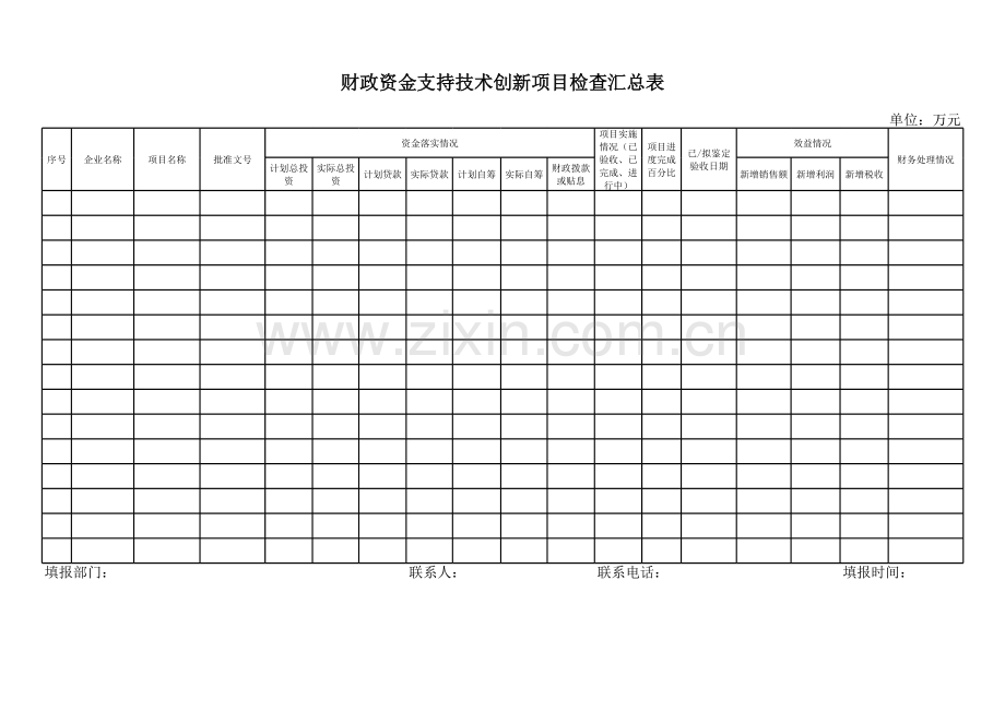 财政资金支持技术创新项目检查汇总表模板.xls_第1页