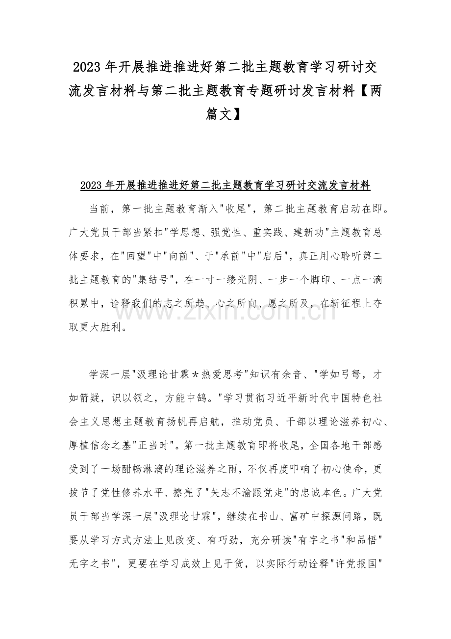 2023年开展推进推进好第二批主题教育学习研讨交流发言材料与第二批主题教育专题研讨发言材料【两篇文】.docx_第1页