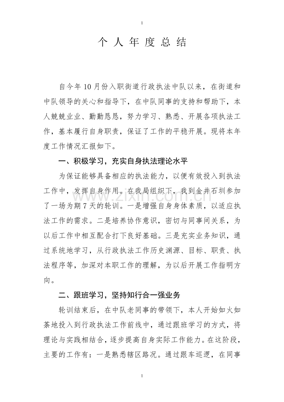 行政执法个人年度总结.doc_第1页