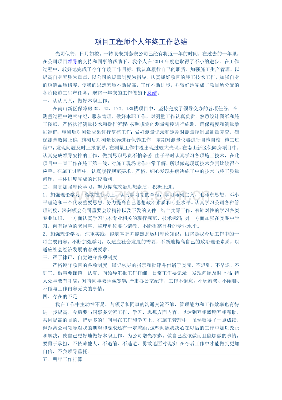 项目工程师个人年终工作总结.doc_第1页