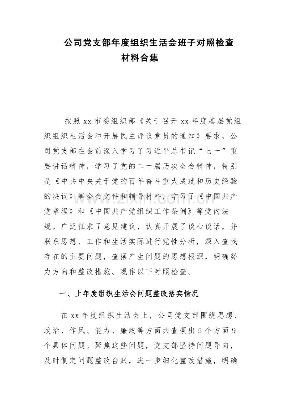 公司党支部年度组织生活会班子对照检查材料合集.docx_第1页