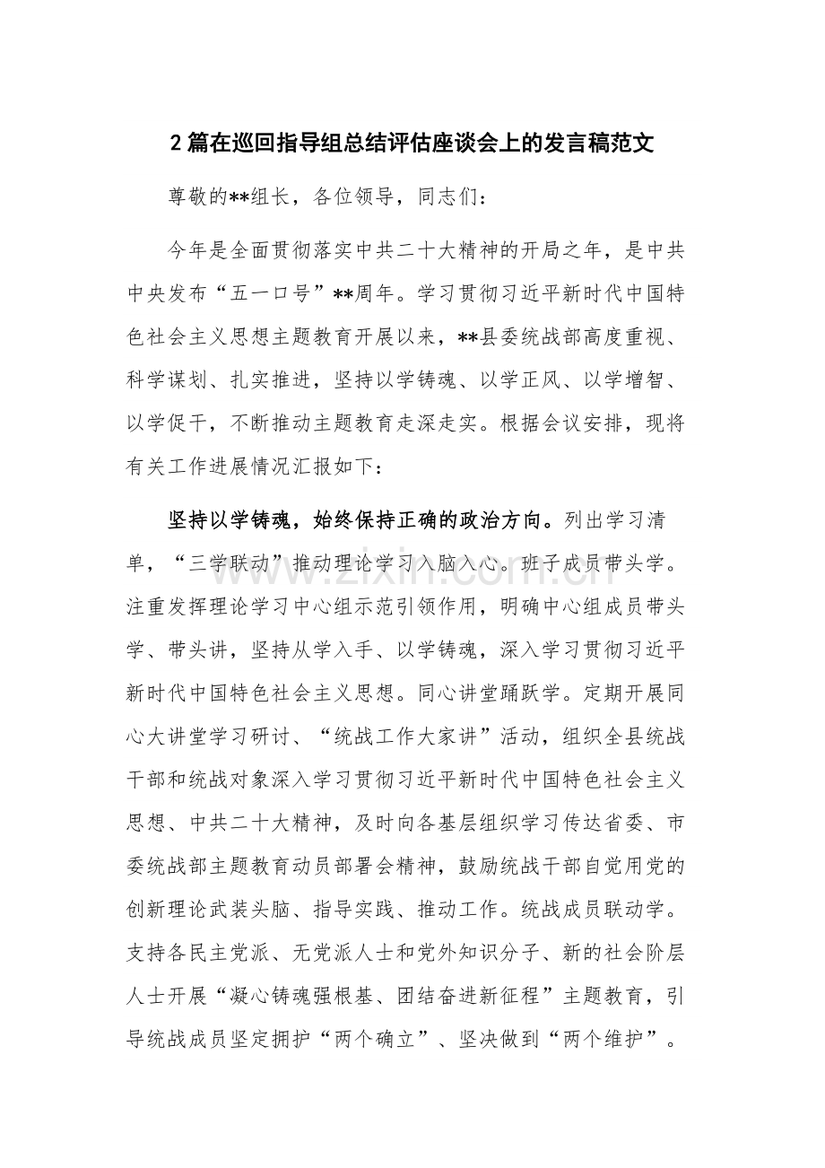 2篇在巡回指导组总结评估座谈会上的发言稿范文.docx_第1页