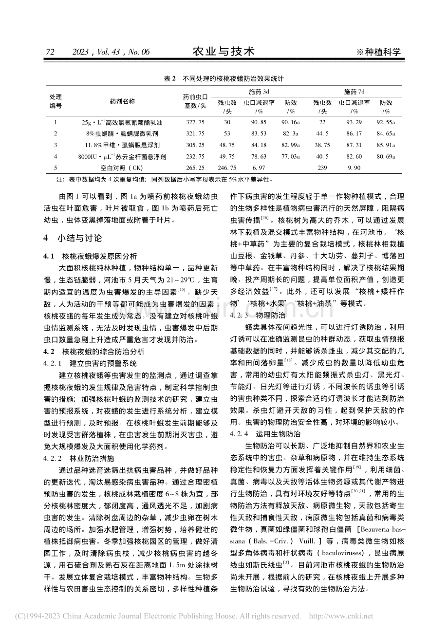 几种药剂对核桃夜蛾幼虫防治效果的比较_彭正.pdf_第3页