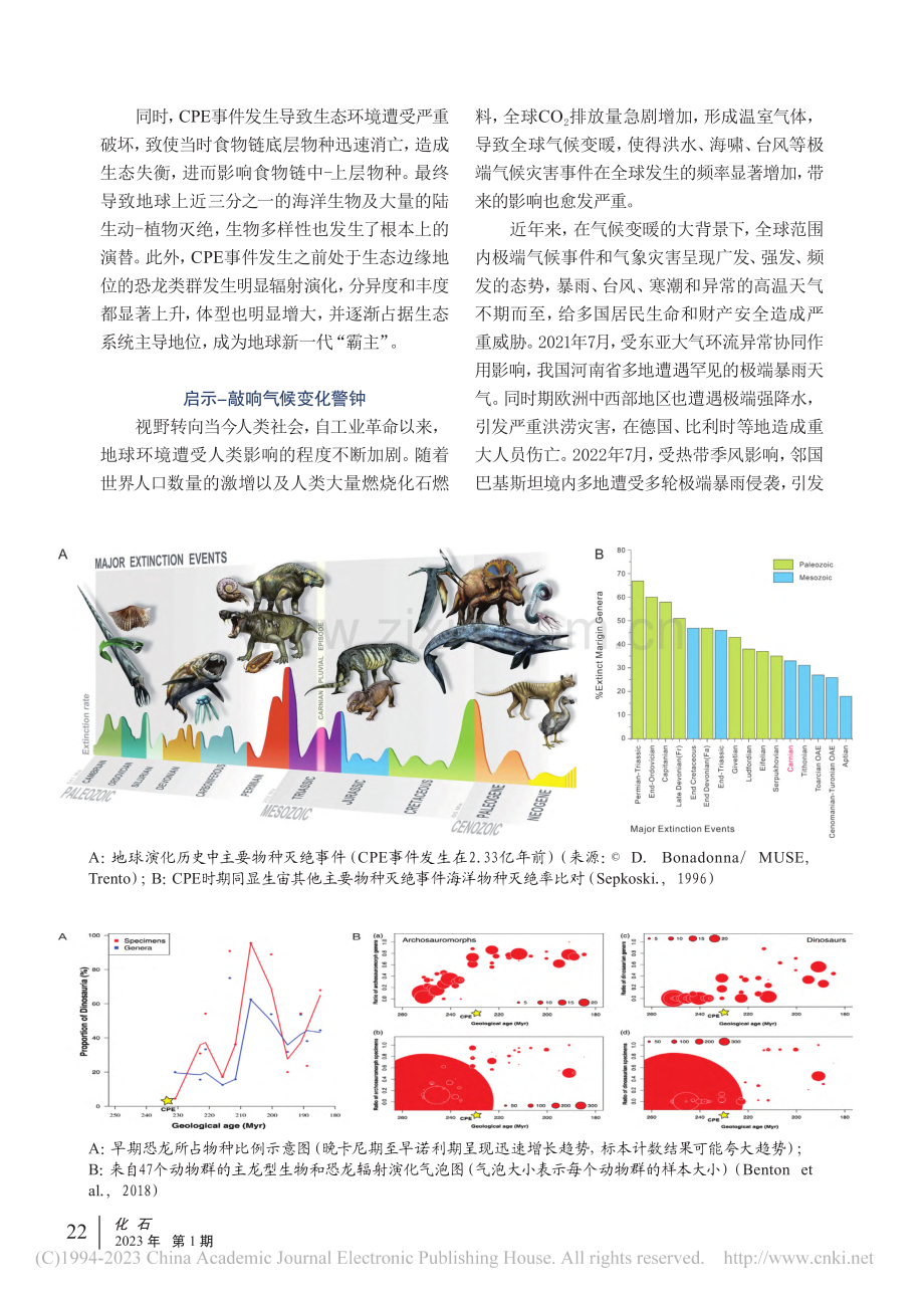 急骤漫天泻浪潮_回望2.3...叠世卡尼期湿润幕（CPE）_李世鑫.pdf_第3页