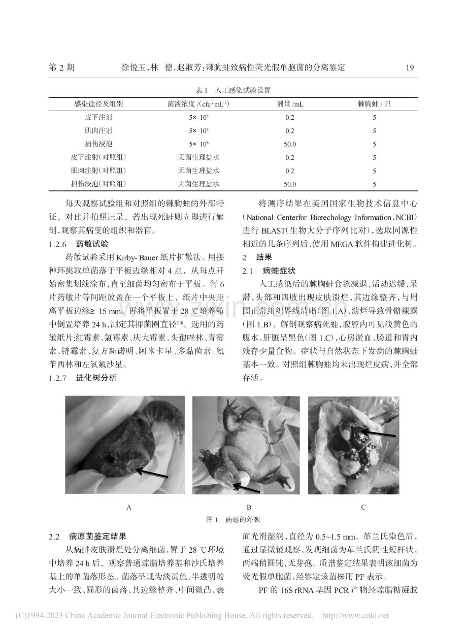 棘胸蛙致病性荧光假单胞菌的分离鉴定_徐悦玉.pdf_第3页