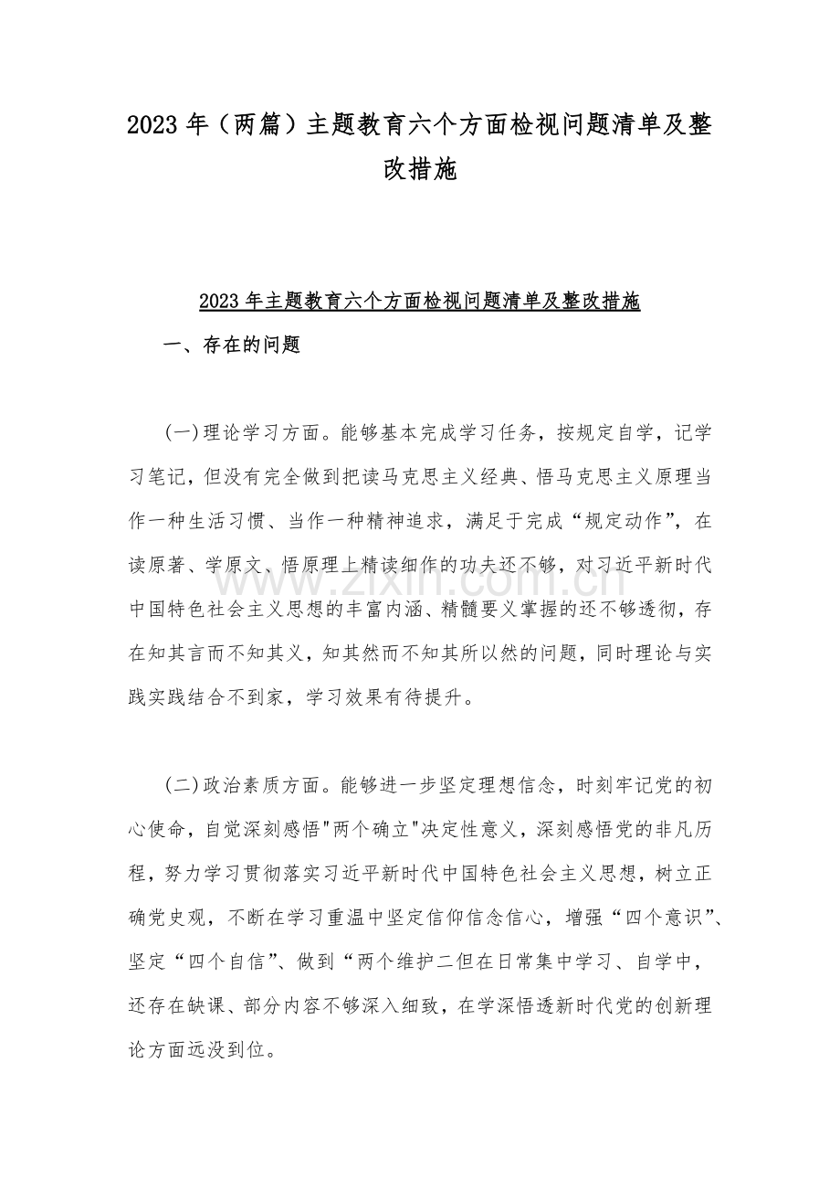 2023年（两篇）主题教育六个方面检视问题清单及整改措施.docx_第1页