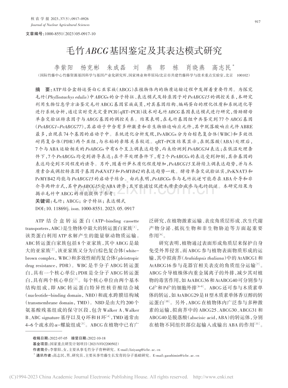 毛竹ABCG基因鉴定及其表达模式研究_李紫阳.pdf_第1页