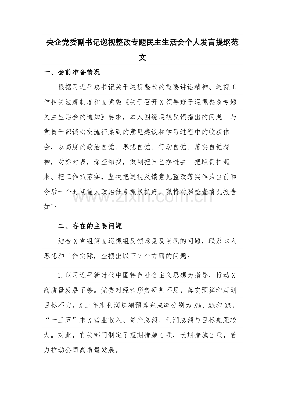 央企党委副书记巡视整改专题民主生活会个人发言提纲范文.docx_第1页