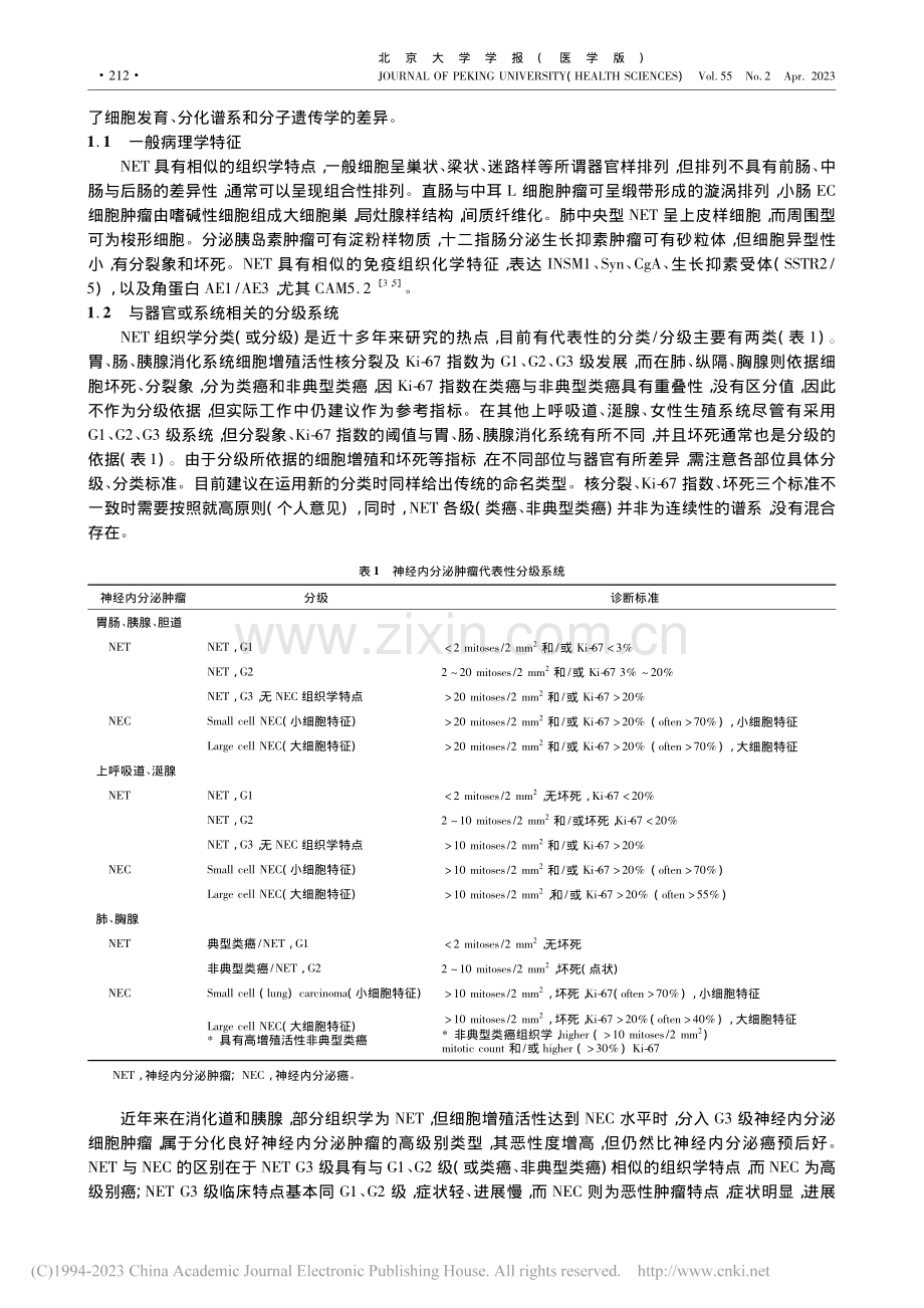 弥漫性神经内分泌细胞肿瘤病理学：共性与异质性_张波.pdf_第3页