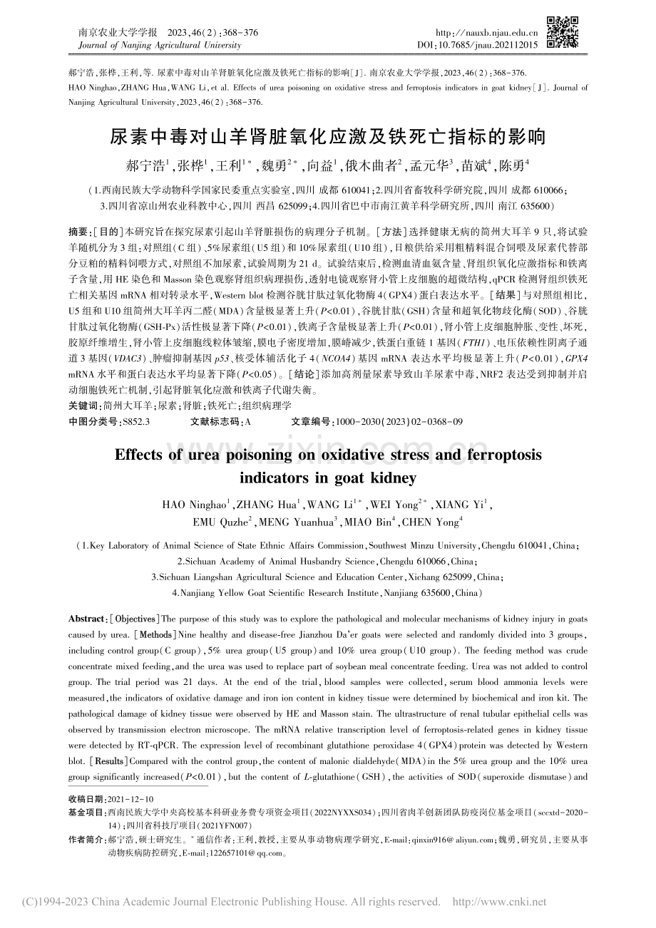 尿素中毒对山羊肾脏氧化应激及铁死亡指标的影响_郝宁浩.pdf_第1页