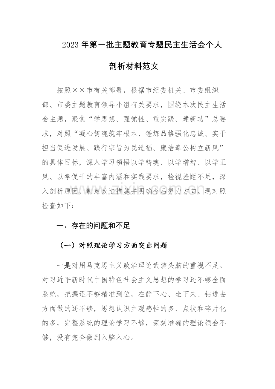 2023年第一批主题教育专题民主生活会个人剖析材料范文.docx_第1页