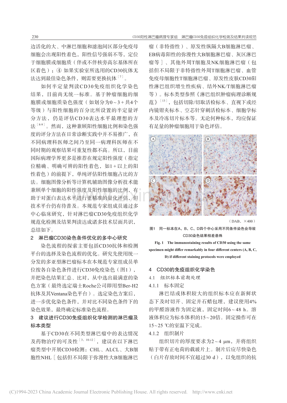 淋巴瘤CD30免疫组织化学检测及结果判读规范.pdf_第3页