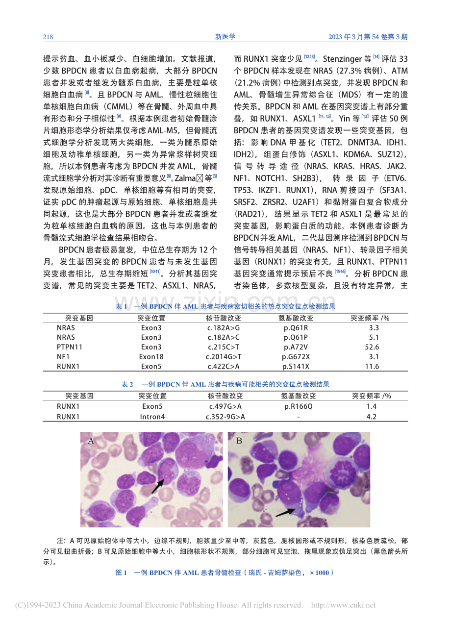 母细胞性浆细胞样树突状细胞肿瘤伴急性髓系白血病一例_孔利华.pdf_第3页