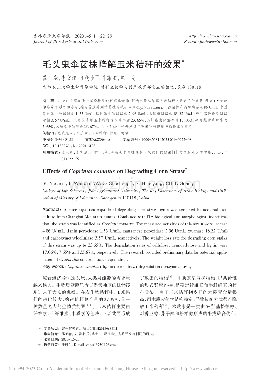 毛头鬼伞菌株降解玉米秸秆的效果_苏玉春.pdf_第1页