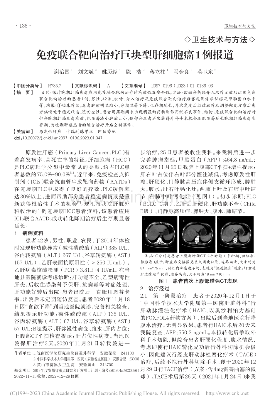 免疫联合靶向治疗巨块型肝细胞癌1例报道_谢治国.pdf_第1页