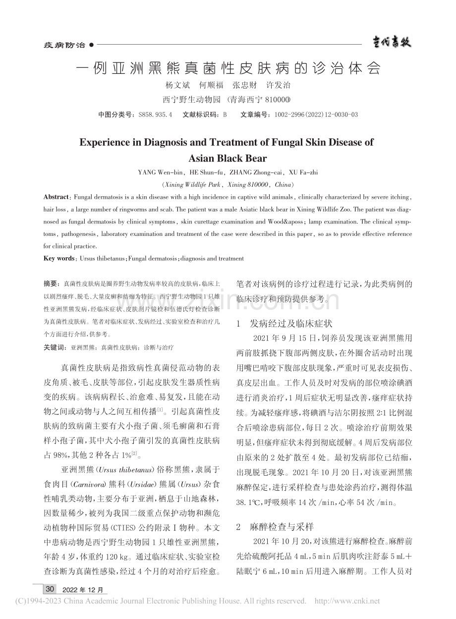 一例亚洲黑熊真菌性皮肤病的诊治体会_杨文斌.pdf_第1页