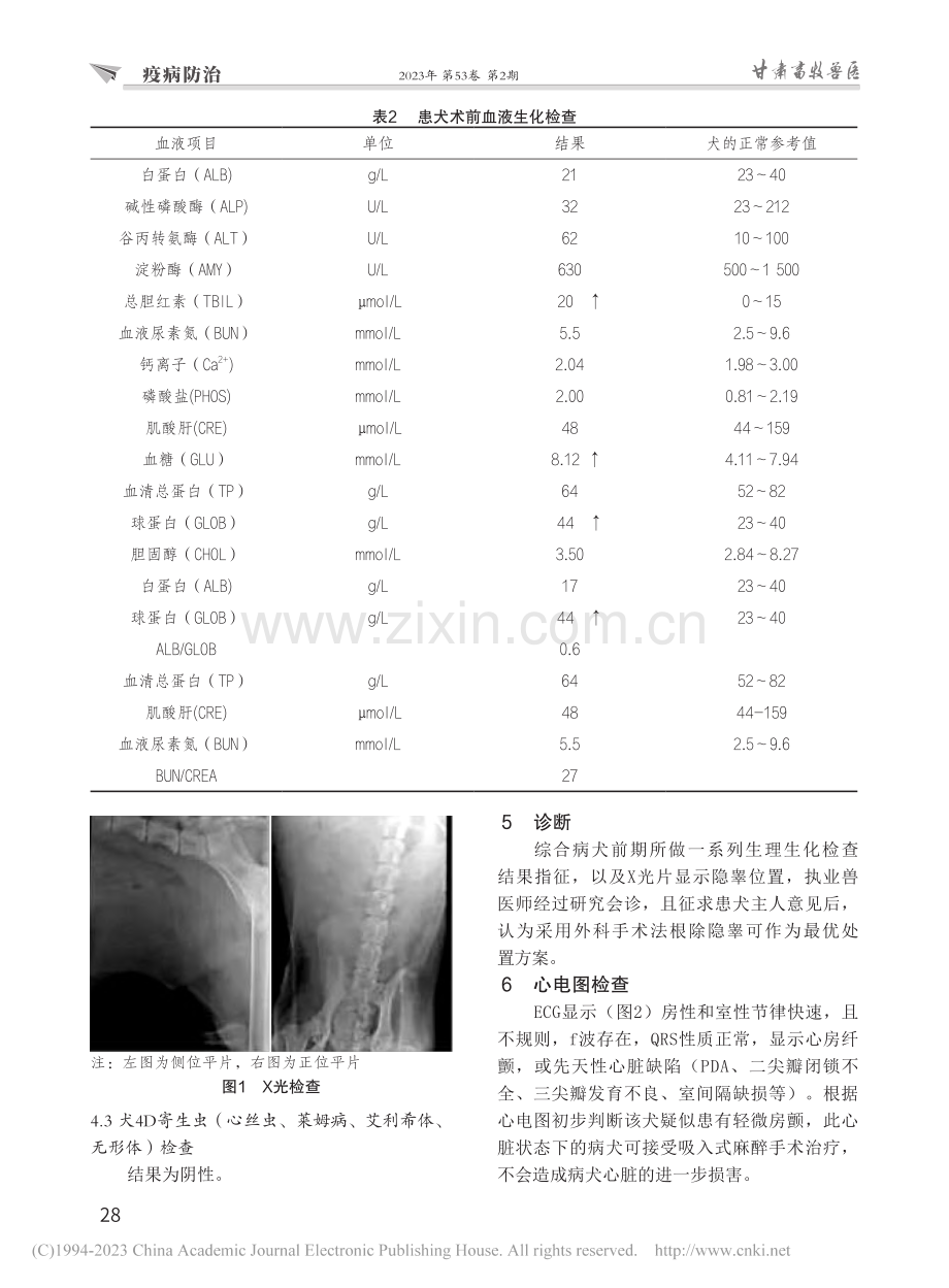 一例博美犬单侧隐睾症的诊断与治疗_赵俊皓.pdf_第3页