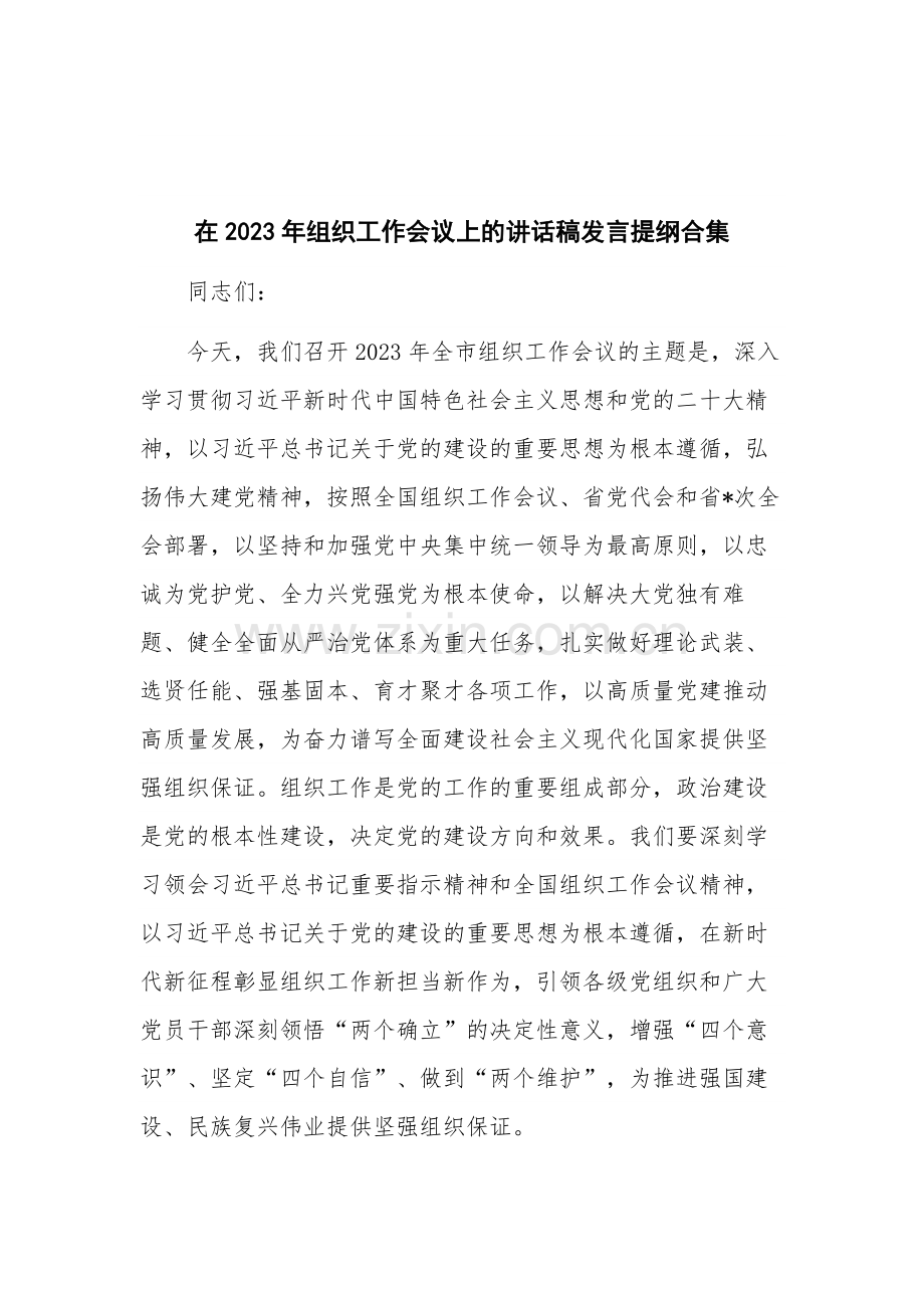 在2023年组织工作会议上的讲话稿发言提纲合集.docx_第1页