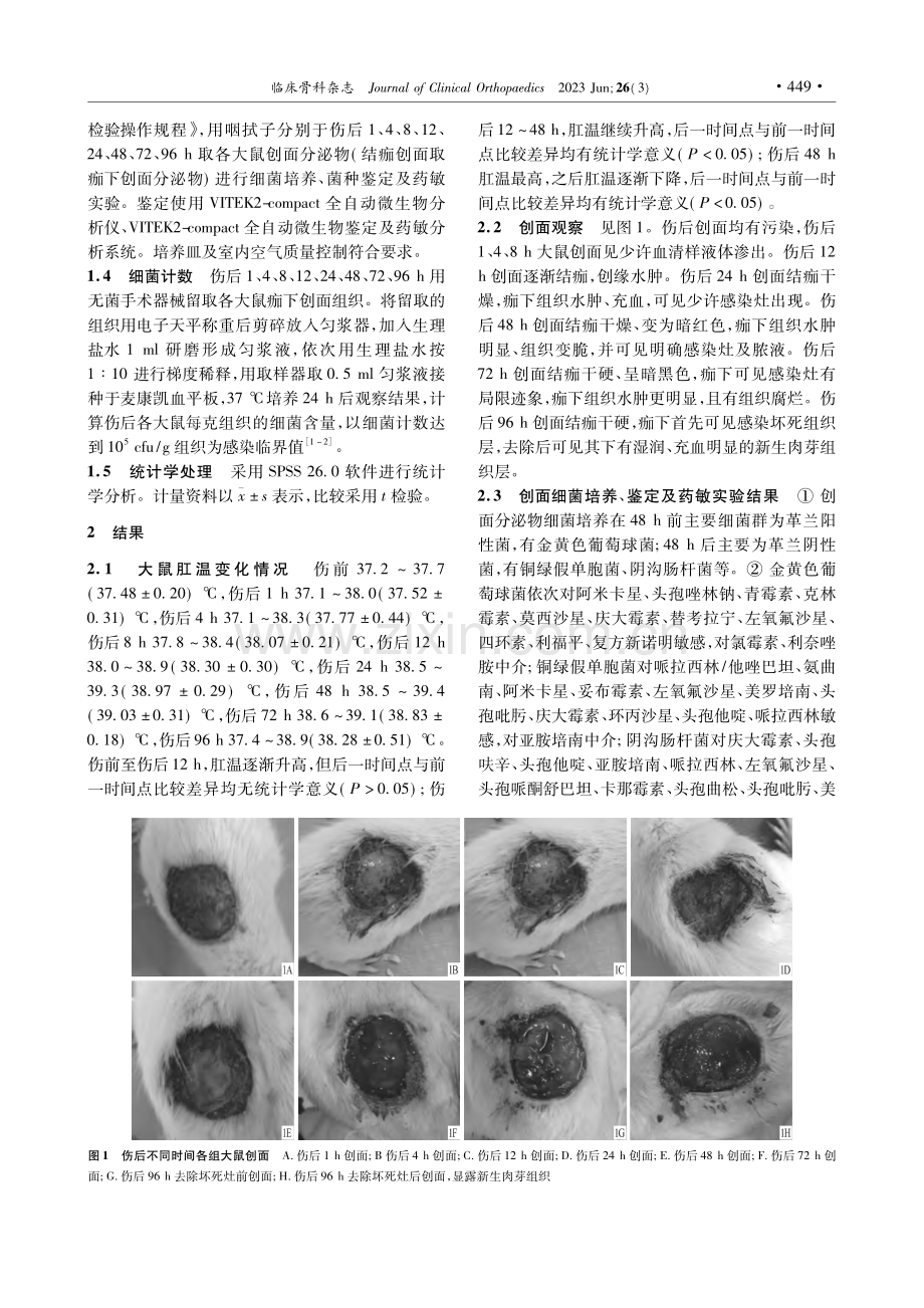 沙漠干燥环境下软组织开放伤的感染特点_马海鑫.pdf_第2页