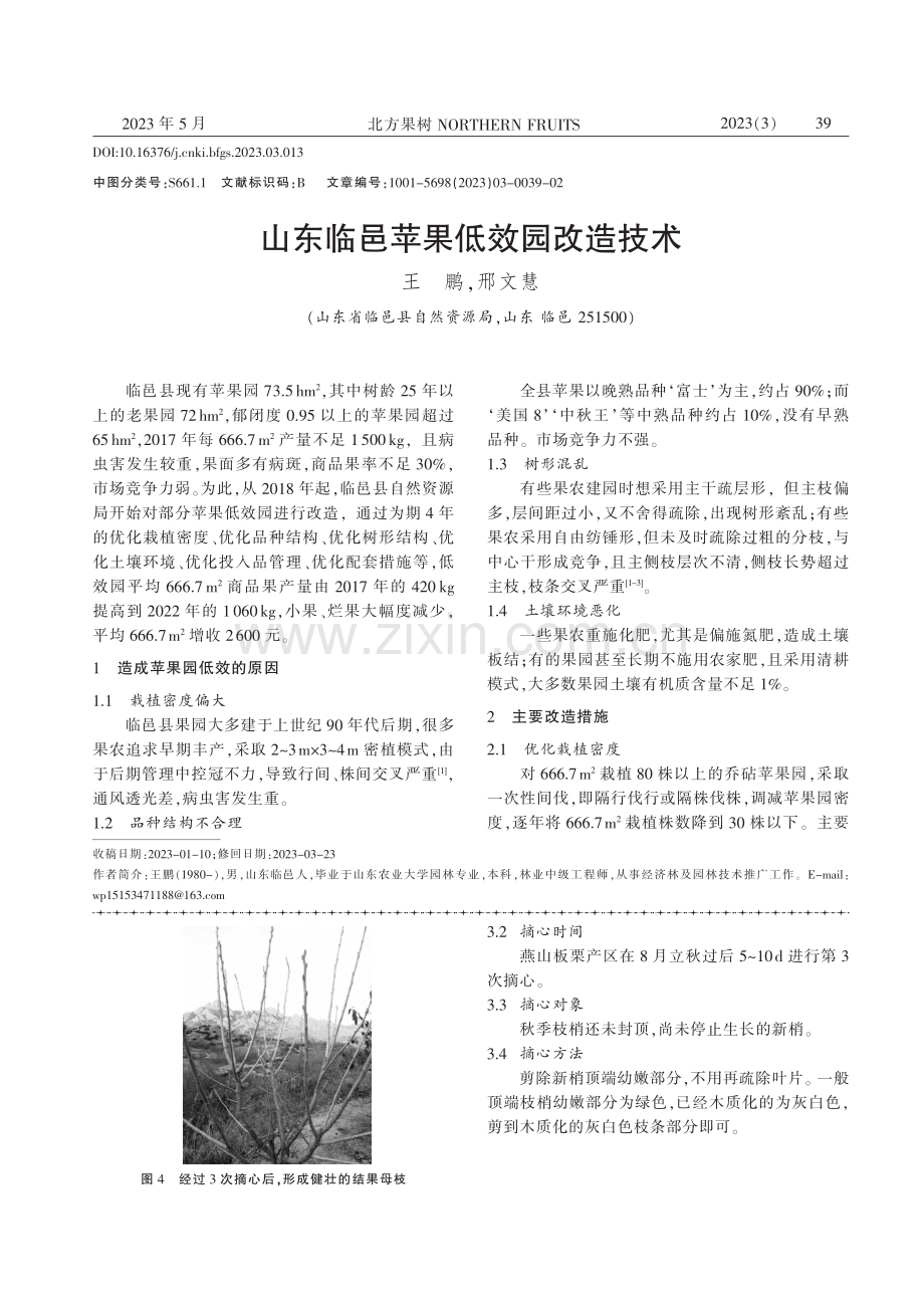 山东临邑苹果低效园改造技术_王鹏.pdf_第1页