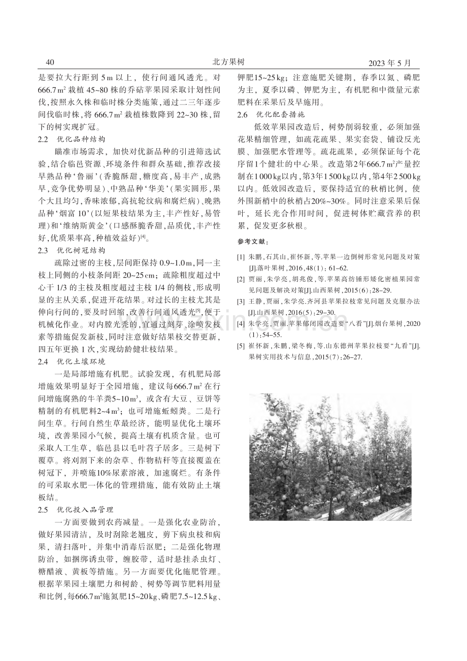 山东临邑苹果低效园改造技术_王鹏.pdf_第2页