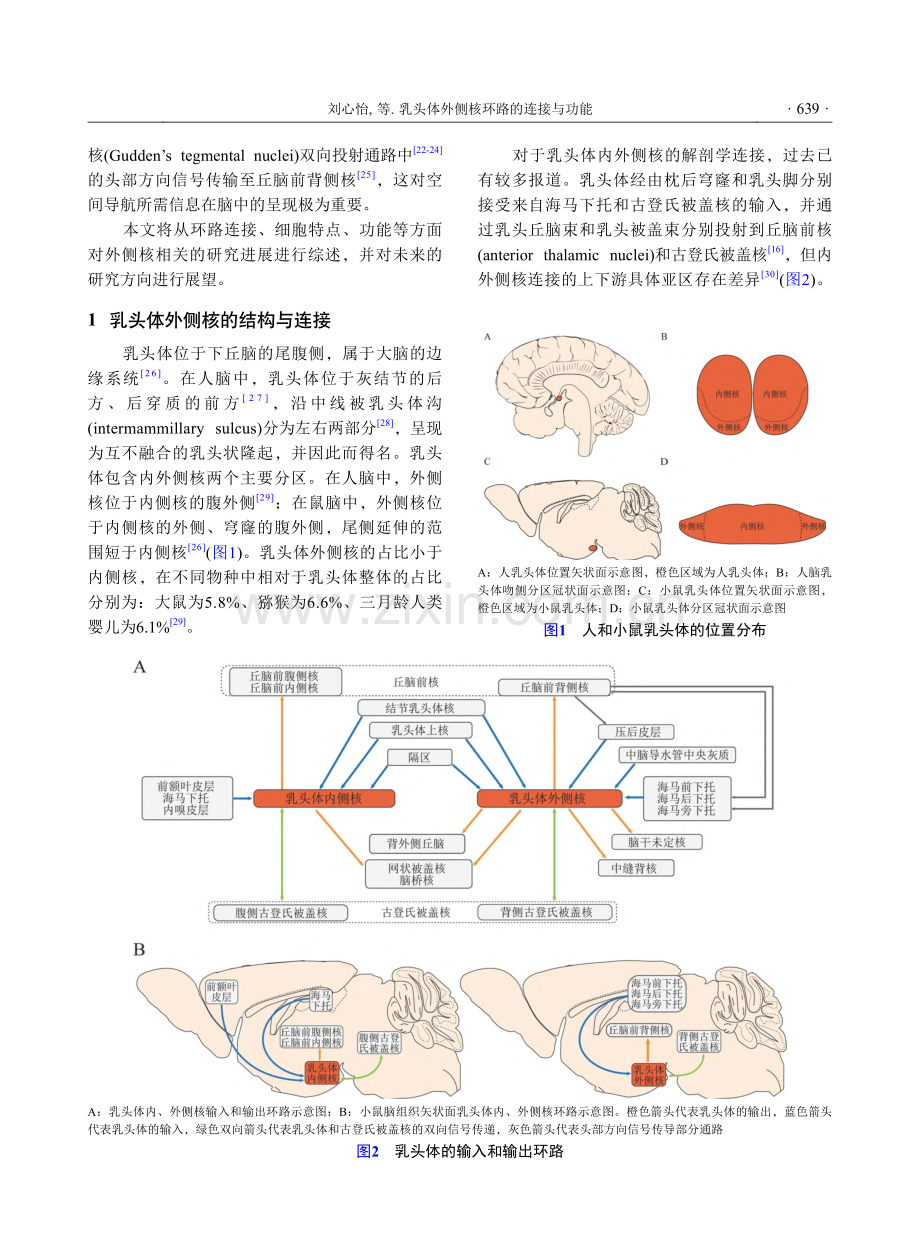 乳头体外侧核环路的连接与功能_刘心怡.pdf_第2页