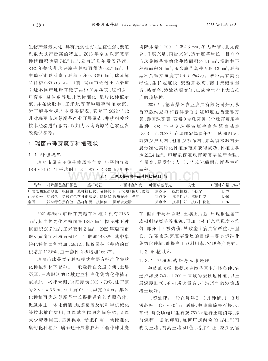 瑞丽市珠芽魔芋种植现状与建议_高燕.pdf_第2页