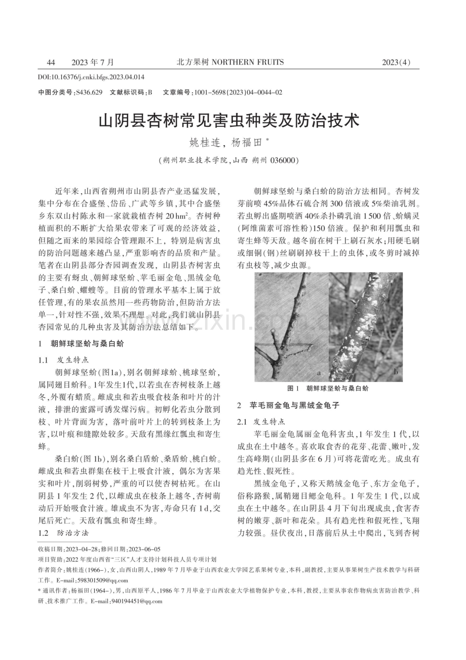 山阴县杏树常见害虫种类及防治技术.pdf_第1页