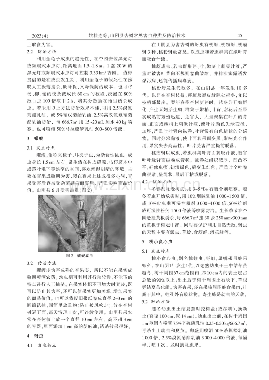 山阴县杏树常见害虫种类及防治技术.pdf_第2页
