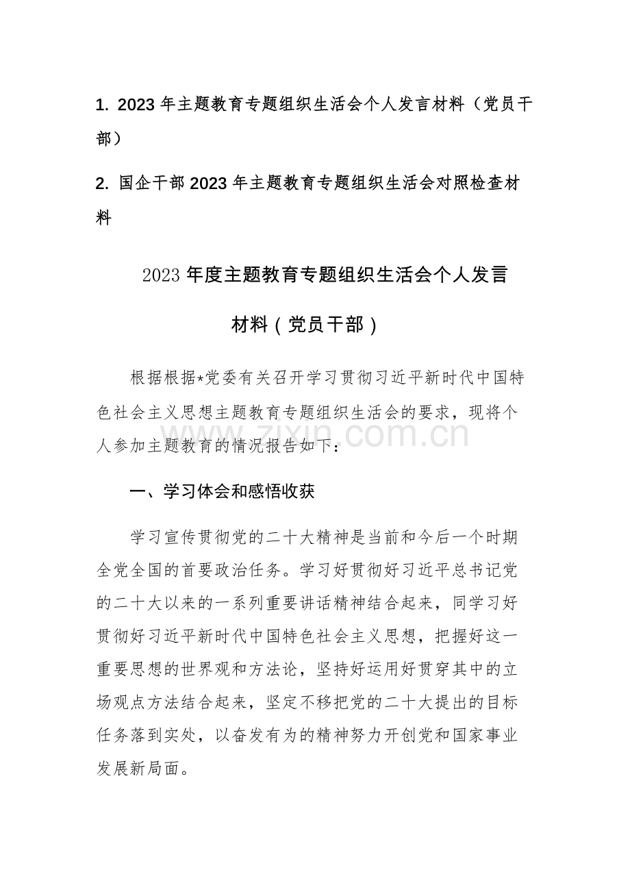 两篇：2023年主题教育专题组织生活会个人发言材料（党员干部）.docx_第1页