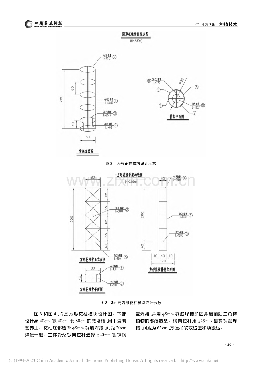 三角梅植物墙模块化栽培技术初探_林熊.pdf_第3页