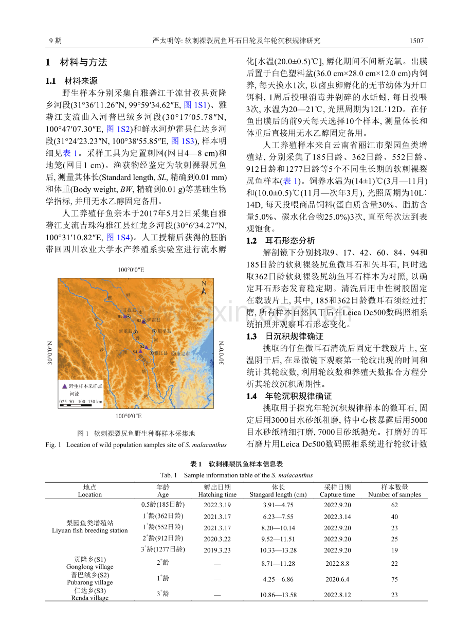 软刺裸裂尻鱼耳石日轮及年轮沉积规律研究_严太明.pdf_第2页