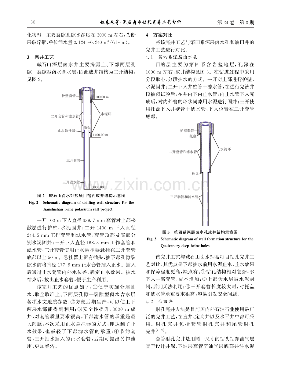 深层卤水钻孔完井工艺分析.pdf_第3页