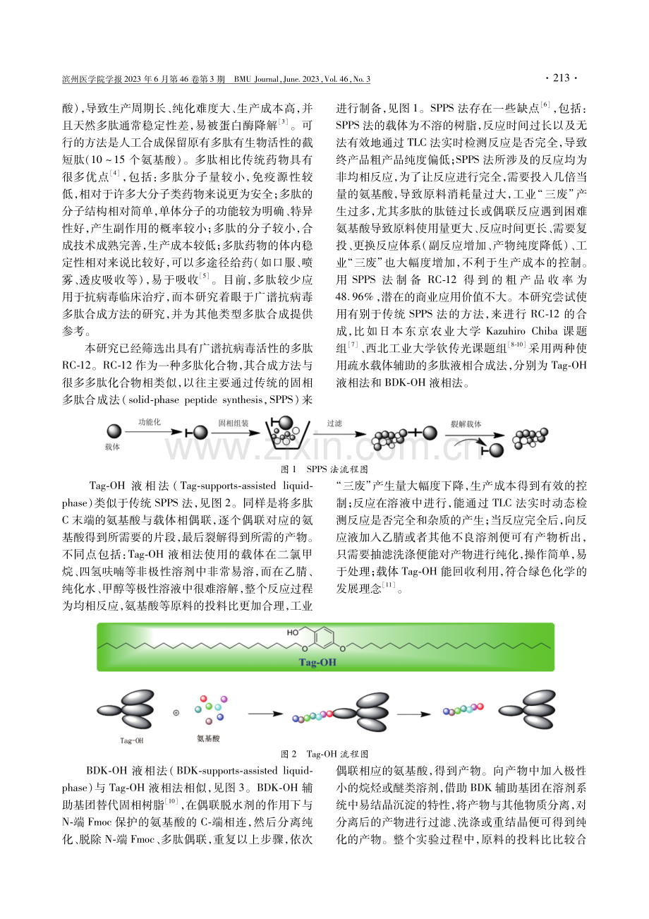 疏水载体辅助液相多肽合成与固相多肽合成工艺的比较.pdf_第2页